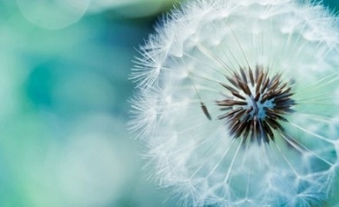 The standard Lorem Ipsum passage, used since the 1500s